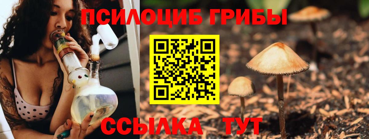 цена наркотик  Псилоцибиновые грибы Cubensis  Вход с VPN  Псилоцибиновые грибы мицелий  Павлово 